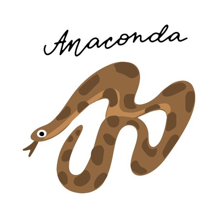 Australian snake Anaconda vector illustration clipart. Kids design poster. Wild mammal drawing in scandinavian style. Handwritten lettering. Exotic wildlife. のイラスト素材