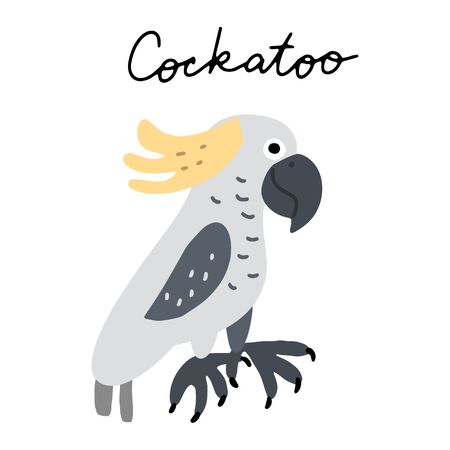 Australian bird Cockatoo vector illustration clipart. Kids design poster. Wild mammal drawing in scandinavian style. Handwritten lettering. Exotic wildlife. のイラスト素材