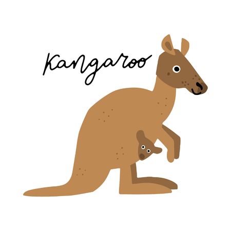 Australian Animal Kangaroo vector illustration clipart. Kids design poster. Wild mammal drawing in scandinavian style. Handwritten lettering. Exotic wildlife. のイラスト素材