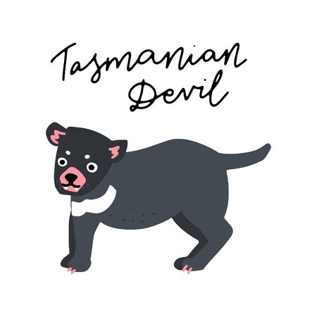 Australian Animal Tasmanian Devil vector illustration clipart. Kids design poster. Wild mammal drawing in scandinavian style. Handwritten lettering. Exotic wildlife. のイラスト素材