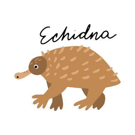 Australian Animal Echidna vector illustration clipart. Kids design poster. Wild mammal drawing in scandinavian style. Handwritten lettering. Exotic wildlife. のイラスト素材