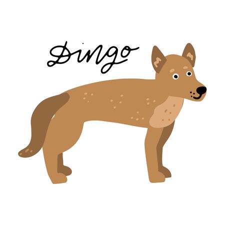 Australian Animal Dingo Dog vector illustration clipart. Kids design poster. Wild mammal drawing in scandinavian style. Handwritten lettering. Exotic wildlife. のイラスト素材