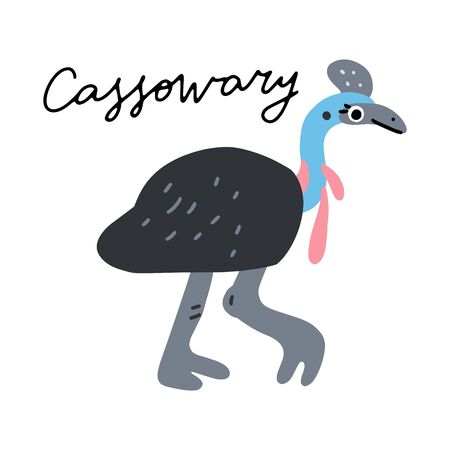 Australian bird Cassowary vector illustration clipart. Kids design poster. Wild mammal drawing in scandinavian style. Handwritten lettering. Exotic wildlife. のイラスト素材