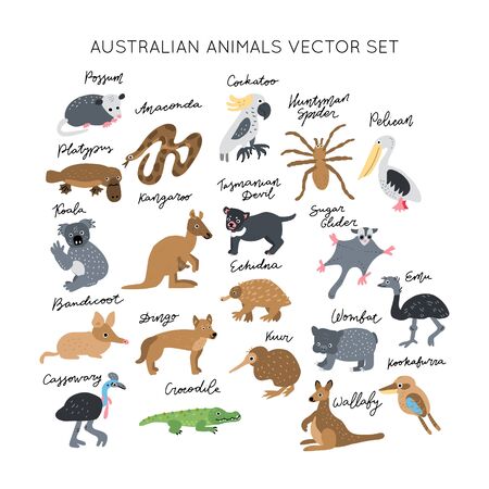 Australian Animals vector illustrations clipart bundle. Kids design posters set. Wild mammal drawing in scandinavian style. Handwritten lettering. Exotic wildlife. のイラスト素材