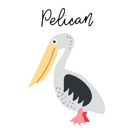 Australian bird Pelican vector illustration clipart. Kids design poster. Wild mammal drawing in scandinavian style. Handwritten lettering. Exotic wildlife. のイラスト素材