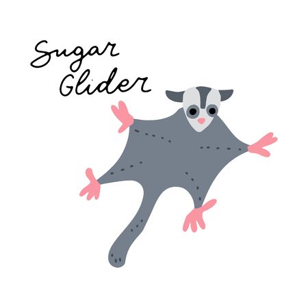 Australian Animal Sugar Glider vector illustration clipart. Kids design poster. Wild mammal drawing in scandinavian style. Handwritten lettering. Exotic wildlife. のイラスト素材