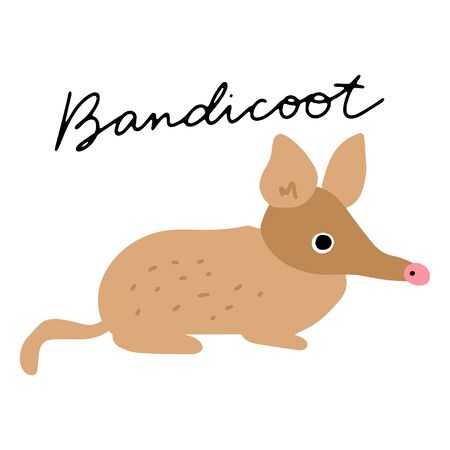 Australian Animal Bandicoot vector illustration clipart. Kids design poster. Wild mammal drawing in scandinavian style. Handwritten lettering. Exotic wildlife. のイラスト素材