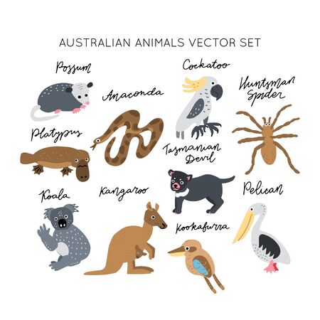 Australian Animals vector illustrations clipart bundle. Kids design posters set. 
Wild mammal drawing in scandinavian style. Handwritten lettering. Exotic wildlife. のイラスト素材