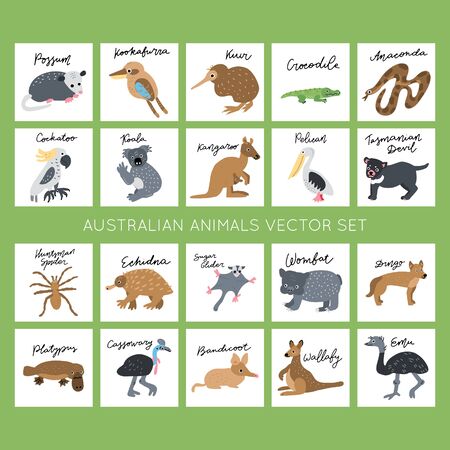 Australian Animals vector illustrations clipart bundle. Kids design posters set. 
Wild mammal drawing in scandinavian style. Handwritten lettering. Exotic wildlife. のイラスト素材