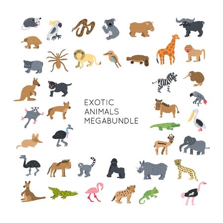Exotic Animals vector illustrations clipart bundle. Kids design posters set. Wild mammal drawing in scandinavian style. Handwritten lettering. Exotic wildlife. のイラスト素材