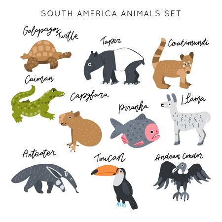 South America Animal vector illustration clipart set. Kids design posters bundle. Wild mammal drawing in scandinavian style. Handwritten lettering. Exotic wildlife. のイラスト素材