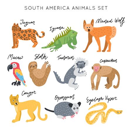 South America Animal vector illustration clipart set. Kids design posters bundle. Wild mammal drawing in scandinavian style. Handwritten lettering. Exotic wildlife. のイラスト素材