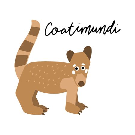 South America Coatimundi Animal vector illustration clipart. Kids design poster. Wild mammal drawing in scandinavian style. Handwritten lettering. Exotic wildlife. のイラスト素材