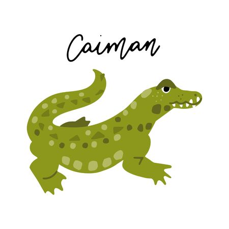 South America Caiman Animal vector illustration clipart. Kids design poster. Wild animal drawing in scandinavian style. Handwritten lettering. Exotic wildlife. のイラスト素材