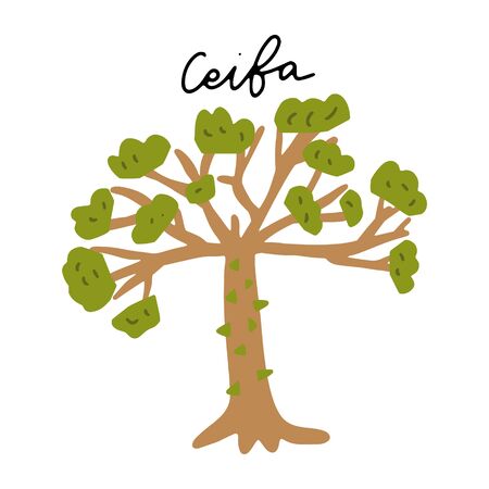 South America Landmark Ceiba tree vector illustration. Vector isolated clipart. Kids design poster. Drawing in scandinavian style. Handwritten lettering.のイラスト素材