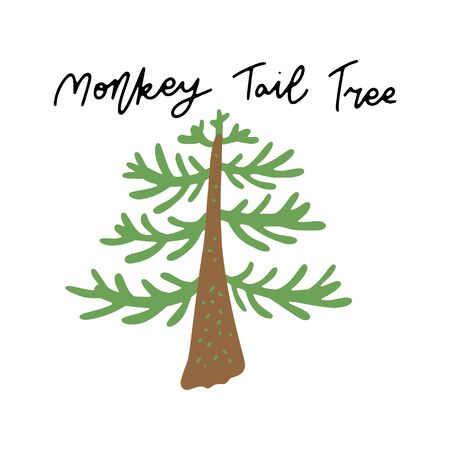 South America Landmark Monkey Tail tree vector illustration. Vector isolated clipart. Kids design poster. Drawing in scandinavian style. Handwritten lettering.のイラスト素材