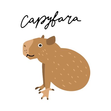 South America Capybara Animal vector illustration clipart. Kids design poster. Wild mammal drawing in scandinavian style. Handwritten lettering. Exotic wildlife. のイラスト素材