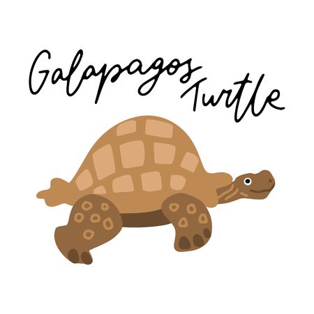 Galapagos turtle vector illustration clipart. Kids design poster. Wild animal drawing in scandinavian style. Handwritten lettering. Exotic wildlife. のイラスト素材