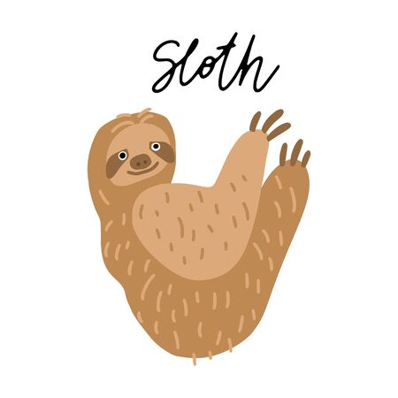 South America Sloth Animal vector illustration clipart. Kids design poster. Wild mammal drawing in scandinavian style. Handwritten lettering. Exotic wildlife. のイラスト素材