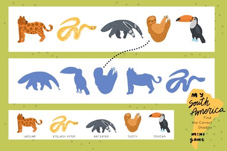 Scandinavian design Funny maze for children. Find the correct shadow educational game for kids. Vector learning 
collection.のイラスト素材