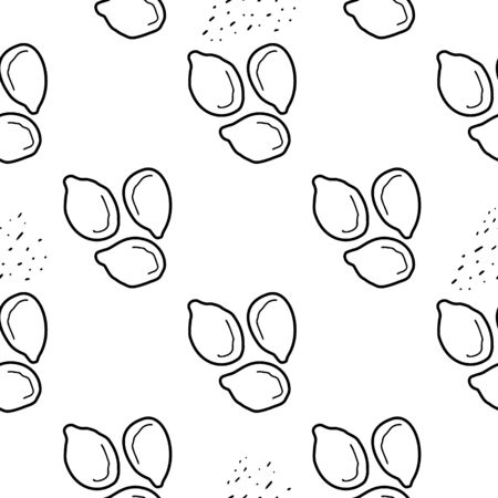 Nuts&seeds pattern. Hand drawn food seamless backgroundのイラスト素材