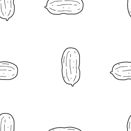 Peanut hand drawn vector seamless pattern. Outline monochrome texture made in doodle style.Fruit background for package, merch, wallpaper, menu and other design.のイラスト素材