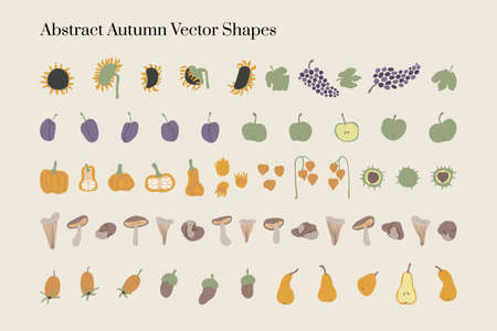 Vector abstract Autumn harvest organic elements and shapes in Boho style. Good for wall decoration, postcard or brochure cover design. Minimalist Mid century modern Fall.のイラスト素材