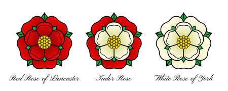 Tudor rose vector isolated icon. Traditional heraldic emblem of England. The war of roses of houses Lancaster and York.のイラスト素材