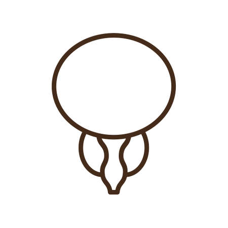 Cartoon benign and prostate vector illustration. Icon character of male urology inflammation disease. Flat design for diagram, medical journal article. Prostatitis, enlarged,obstruction,hypertrophyのイラスト素材