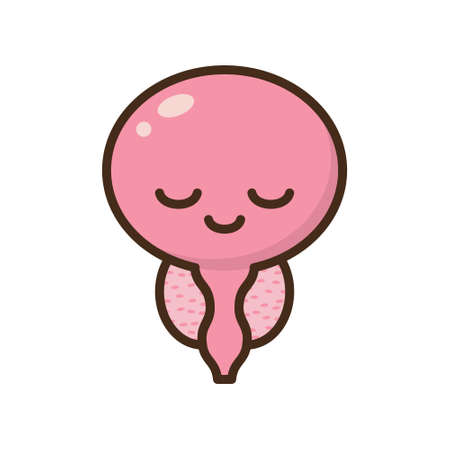 Cartoon benign and prostate vector illustration. Icon character of male urology inflammation disease. Flat design for diagram, medical journal article. Prostatitis, enlarged,obstruction,hypertrophyのイラスト素材