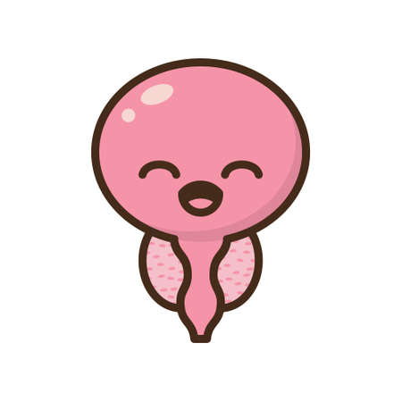 Cartoon benign and prostate vector illustration. Icon character of male urology inflammation disease. Flat design for diagram, medical journal article. Prostatitis, enlarged,obstruction,hypertrophyのイラスト素材