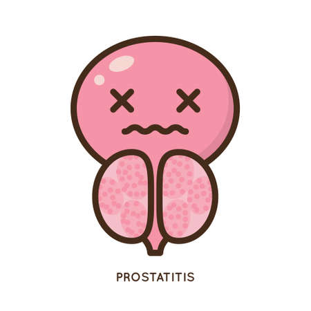 Cartoon benign and prostate vector illustration. Icon character of male urology inflammation disease. Flat design for diagram, medical journal article. Prostatitis, enlarged,obstruction,hypertrophyのイラスト素材