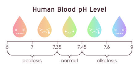 Vector scale of a human Blood pH. Acidic to normal to alkaline diagram. Rainbow laboratory paper indicator. Chemistry science concept. Balance measurement spectrum.のイラスト素材