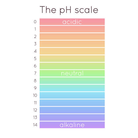 Vector pH scale. Acidic to normal to alkaline diagram. Rainbow laboratory paper indicator. Chemistry science concept. Balance measurement spectrum.のイラスト素材