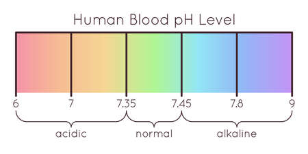 Vector scale of a human Blood pH. Acidic to normal to alkaline diagram. Rainbow laboratory paper...
