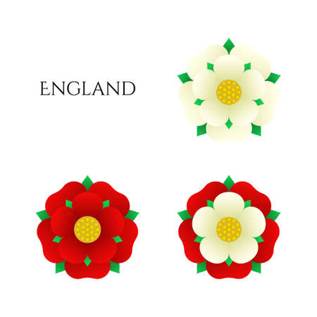 Tudor rose vector isolated icons set. Traditional heraldic emblem of England. The war of roses of houses Lancaster and York.のイラスト素材