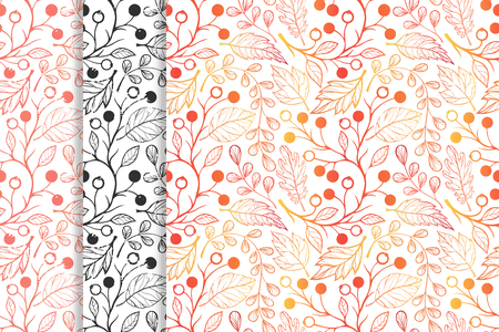 Collection of autumn patterns with  leaves,berries and floral elements in fall colors.Seamless patterns perfect for prints, flyers,postcards,fabric,wrapping paper and more.Vector autumn backgrounds.のイラスト素材