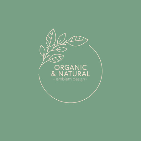 Vector floral organic emblem.Natural logo design with linear branch and frame.Modern eco or bio badge in trendy minimalist style.Branding design template.のイラスト素材