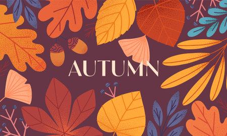 Autumn banner with leaves,acorns,berries and plants.Vector fall season modern illustration.Trendy autumn template for prints,ad,social media marketing,branding,packaging,covers.のイラスト素材