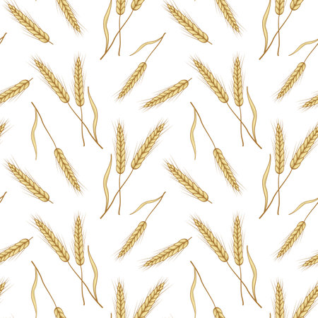 Vector seamless pattern with ears of wheat. Isolated on white. Whole grain, organic, for bakery package, bread products, web design.のイラスト素材