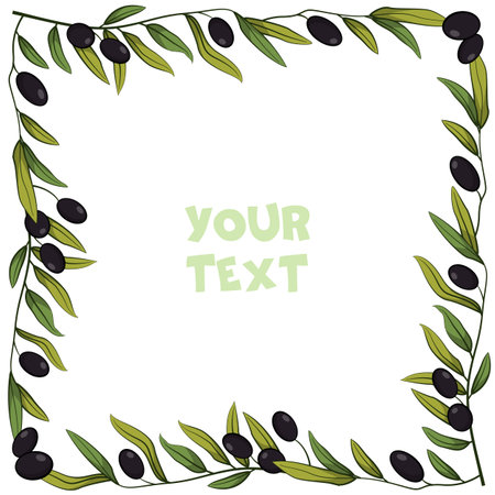 Olive frame; vector illustration; square border with olive twigs for invitations, greeting cards, etc.のイラスト素材