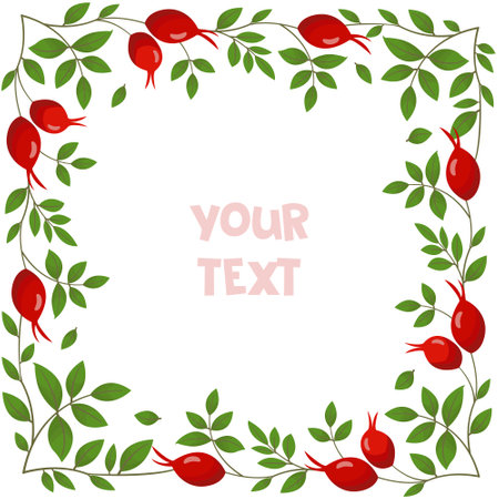 Rose hip frame; square frame with rose hip for greeting card, invitations, wedding cards, posters, banners, web design.のイラスト素材
