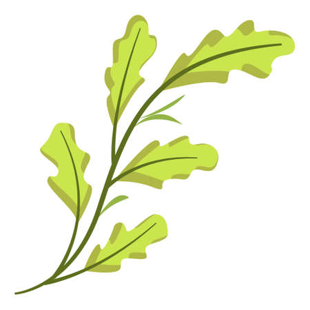Oak branch isolated on white background. Vector illustration.のイラスト素材