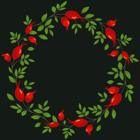 Vector background with rose hips on black background; for greeting cards, invitations, posters, banners.のイラスト素材