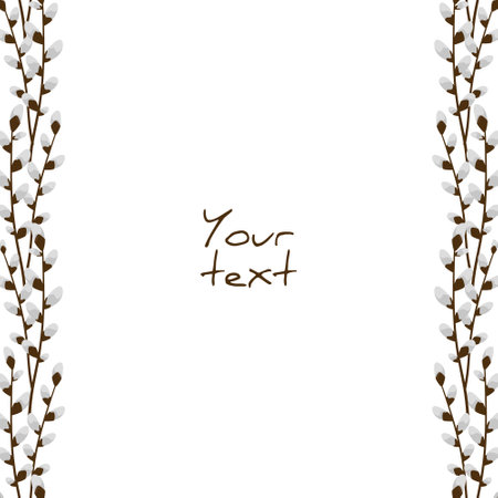 Vector background with pussy willow; vertical borders for greeting cards, invitations, posters, banners.のイラスト素材