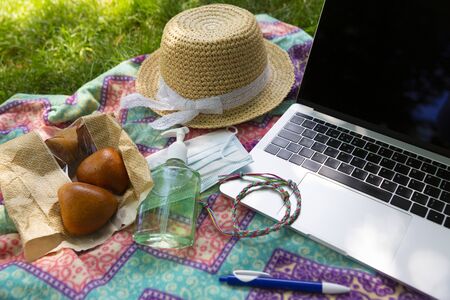 Laptop, face mask and hand alcohol gel sanitizer on blanket on a green grass lawn in the park or...