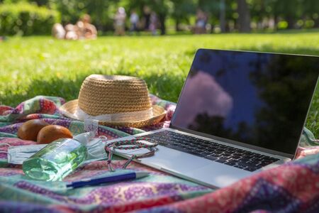 Laptop, face mask and hand alcohol gel sanitizer on blanket on a green grass lawn in the park or...