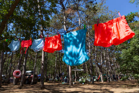 Swimming trunks, T-shirts and bathing suits dry on a rope in summer pine forest camping in the sunny day.の写真素材