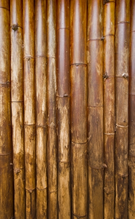 Bamboo flap の写真素材