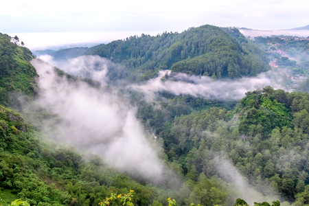 Misty hill,  mist flowing between two hill in the top of the forest. Located in Keraton Cliff, Bandung, West Java, Indonesiaの写真素材
